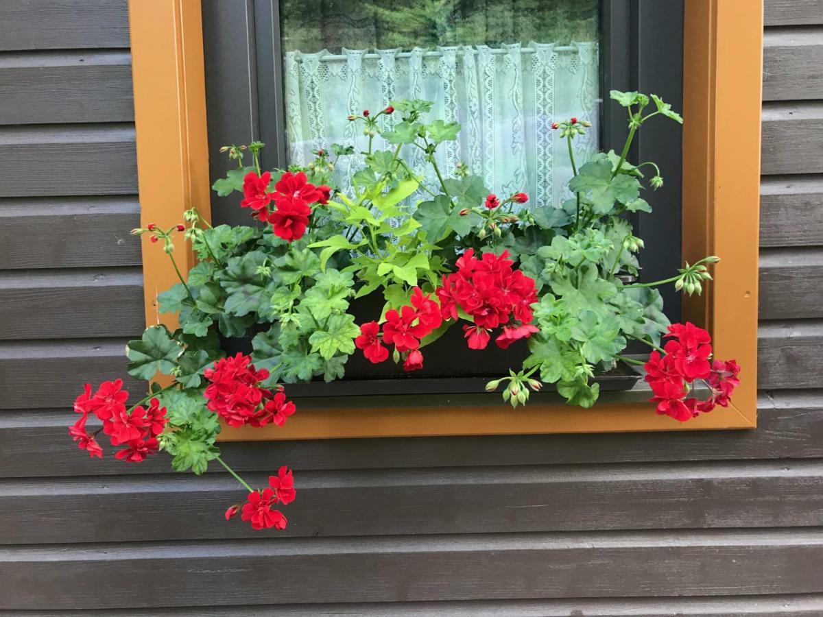 Ferienhaus Bergfee Klippitztorl Екстериор снимка