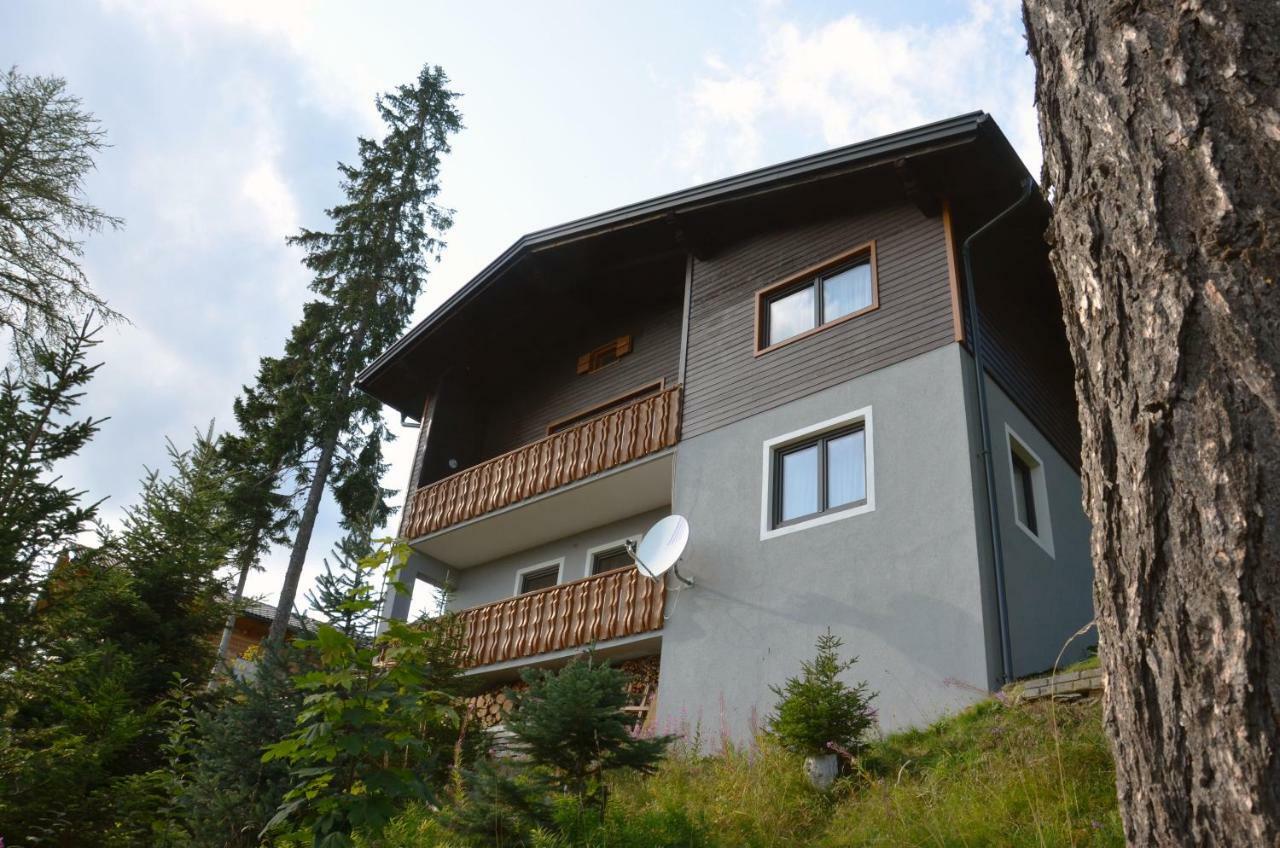 Ferienhaus Bergfee Klippitztorl Екстериор снимка