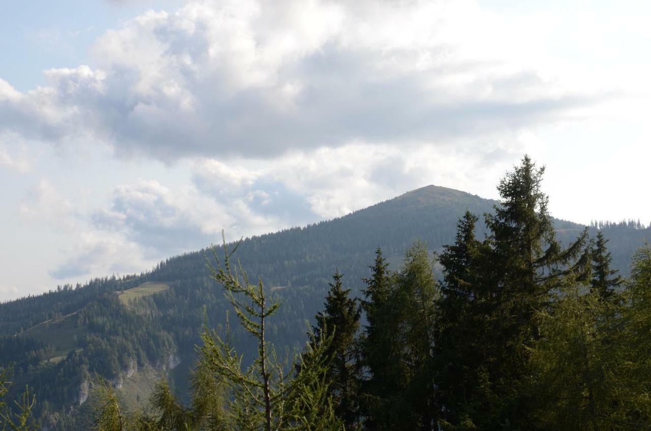 Ferienhaus Bergfee Klippitztorl Екстериор снимка