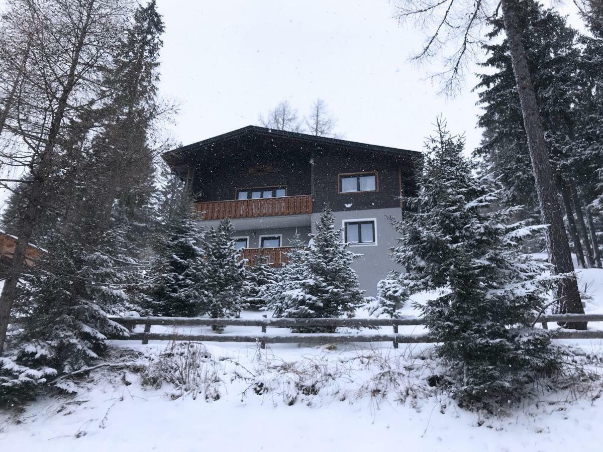 Ferienhaus Bergfee Klippitztorl Екстериор снимка